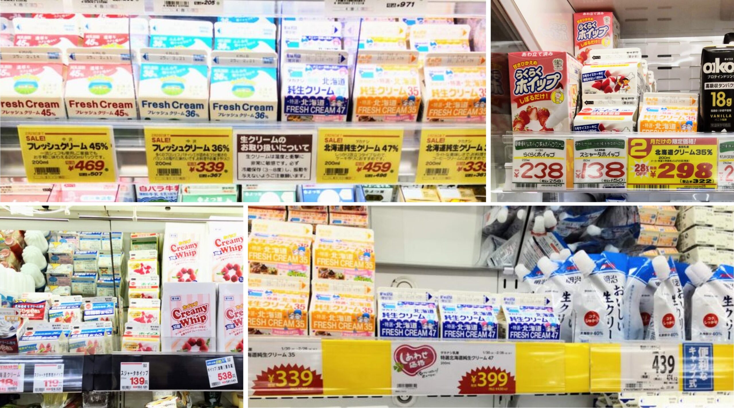 活動歴および当時の関連ビジュアル記録
