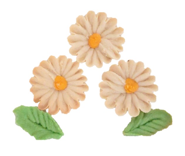 Flower Picnic Cafe（フラワーピクニックカフェ）のお花のぼうろ（マーガレット）三輪の写真