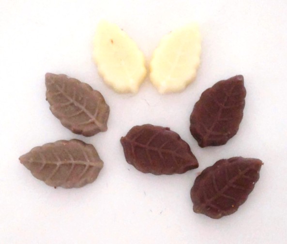 CHOCOLATE HOUSE Mon Loire（チョコレートハウス モンロワール）のリーフメモリーの中の写真