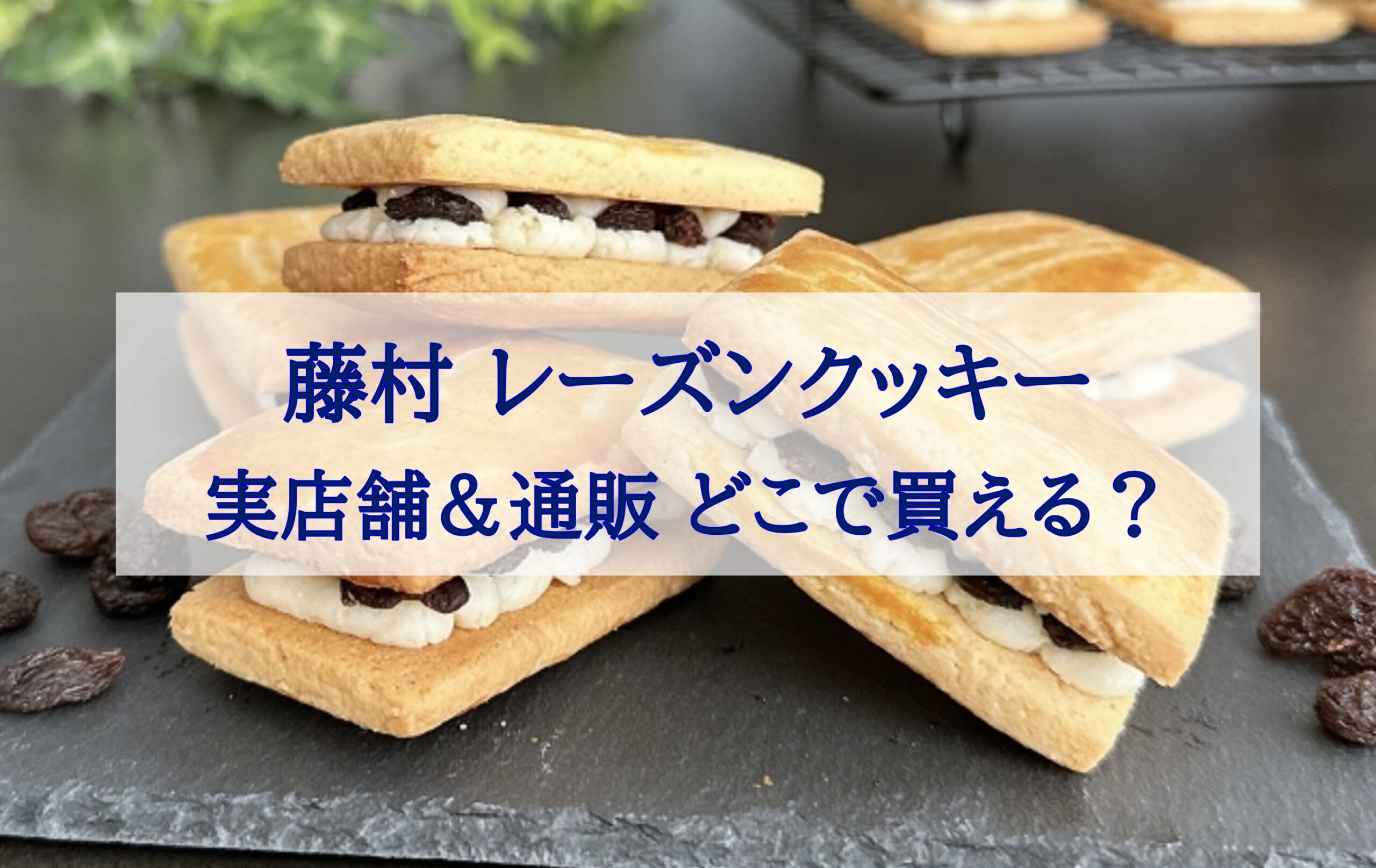 この記事を読めば藤村のレーズンクッキーこと御菓子処藤むらのれぇずんくっきぃは楽天で取り寄せ可能かや実店舗や通販のどこで売ってるかを知れることをイメージできる写真