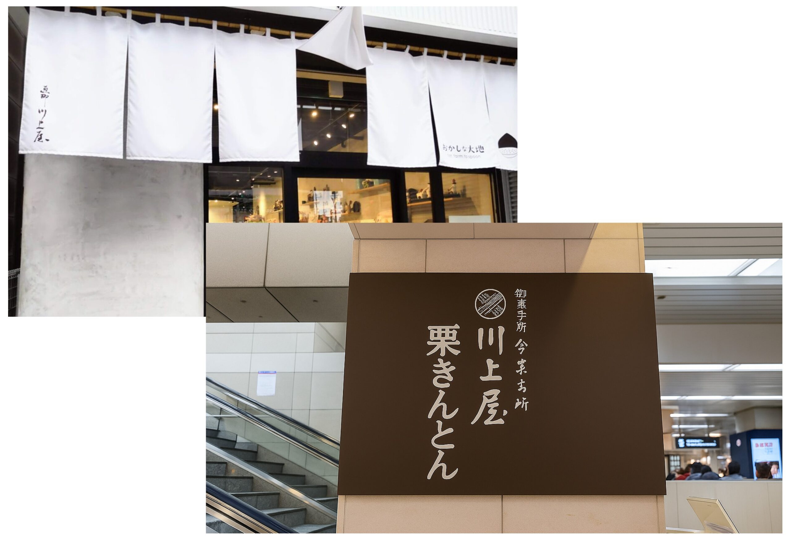 この記事を読めば恵那川上屋と川上屋の違いとそれぞれをおすすめする人の特徴を知れることをイメージできる写真.