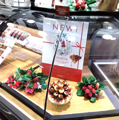 AUDREY（オードリー）のグレイシアリニューアルしたことがわかる写真