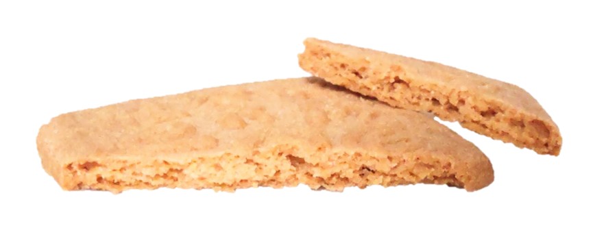 六花亭のマルセイビスケットの断面写真