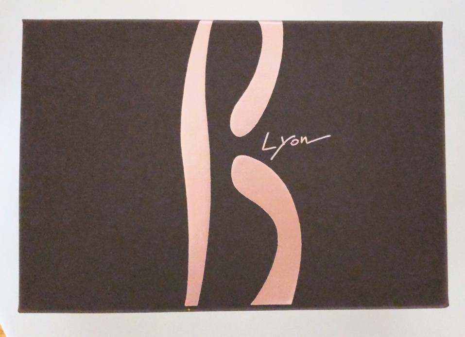 Sébastien Bouillet（セバスチャン・ブイエ）のマカリヨンの箱の写真