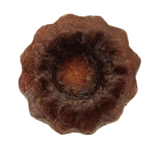 Dominique Doucet（ドミニクドゥーセ）の店のカヌレバニラを上から見た写真